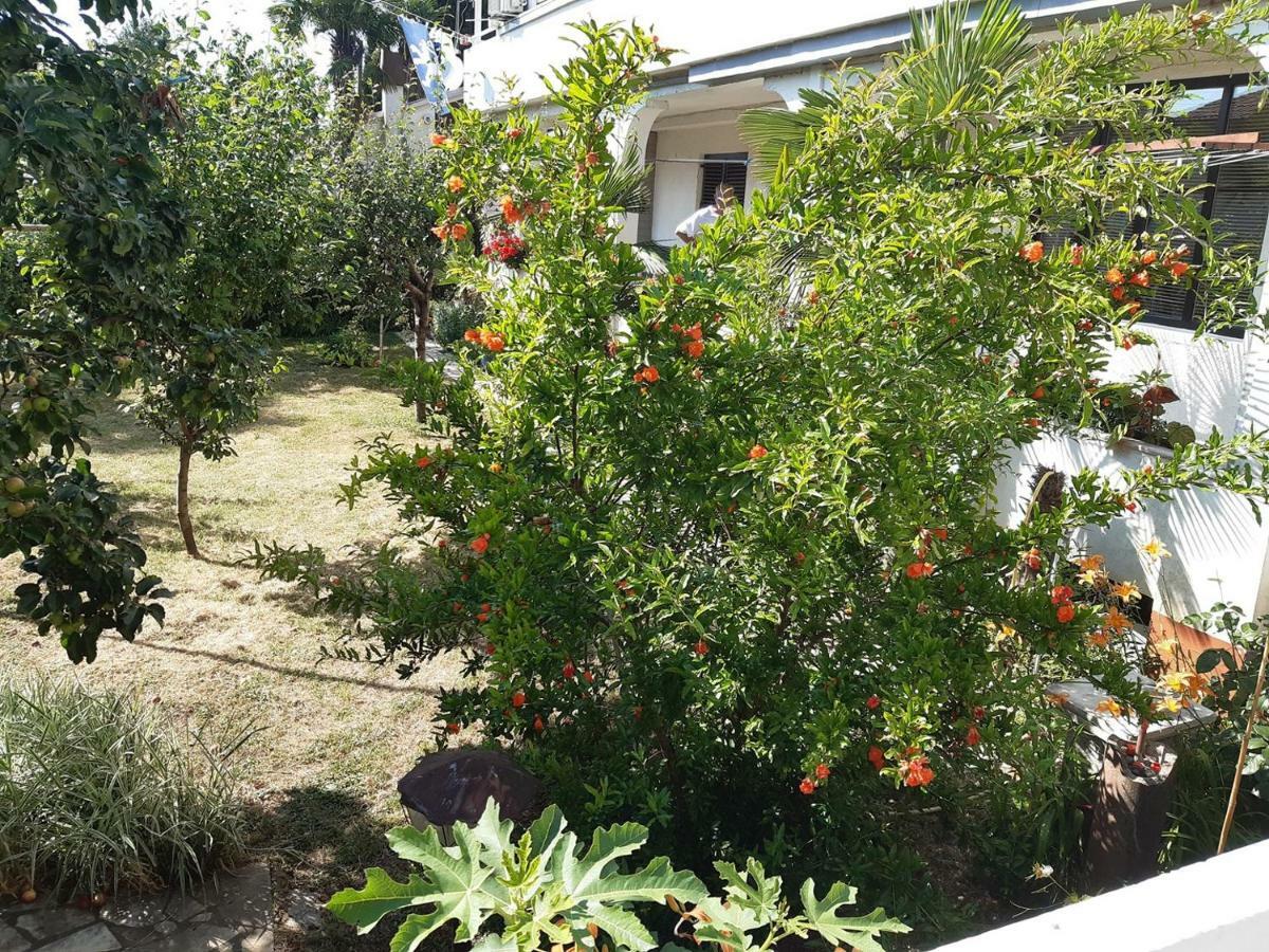 Ana - 1 Bedroom, Garden, Near The Beach Apartment Poreč